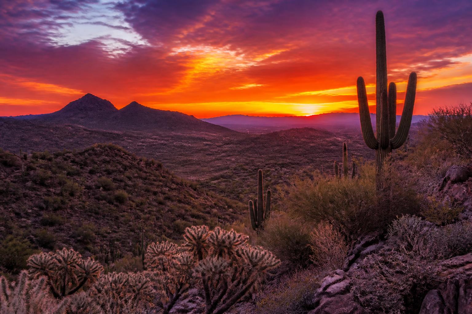 North Scottsdale